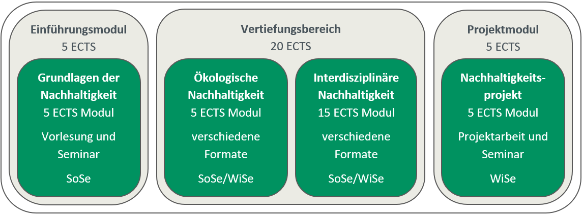 Die Grafik zeigt den Aufbau des Zusatzstudiums, welches aus dem Einführungsmodul (5 ECTS), dem Vertiefungsbereich (20 ECTS), indem verschiedene Wahlpflichtveranstaltungen belegt werden können und dem abschließenden Projektmodul (5 ECTS), besteht.
